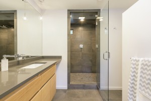 Skyline Master Bath 2